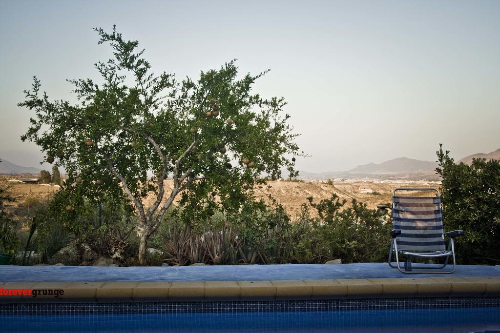 Casa Rural Aloe Vera Huercal-Overa Εξωτερικό φωτογραφία