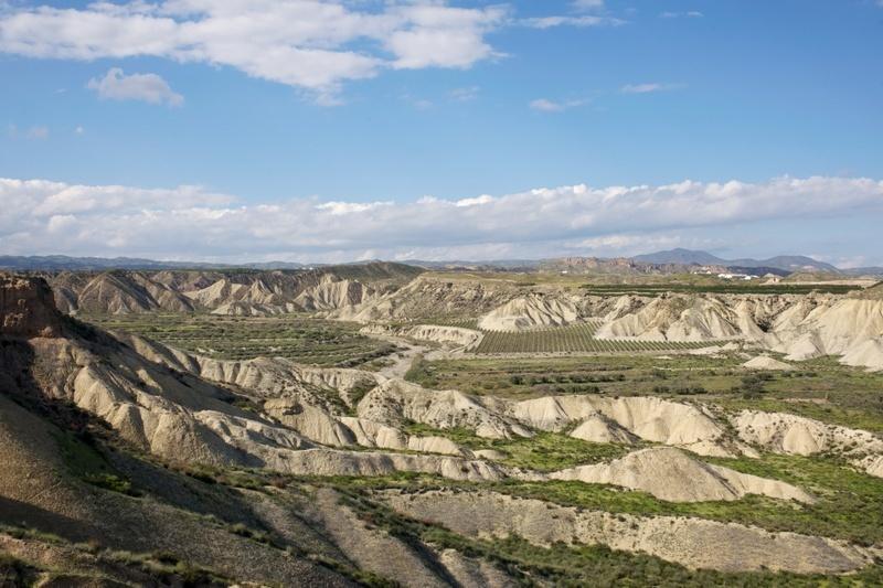Casa Rural Aloe Vera Huercal-Overa Εξωτερικό φωτογραφία