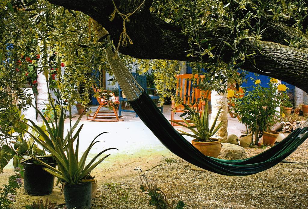 Casa Rural Aloe Vera Huercal-Overa Εξωτερικό φωτογραφία