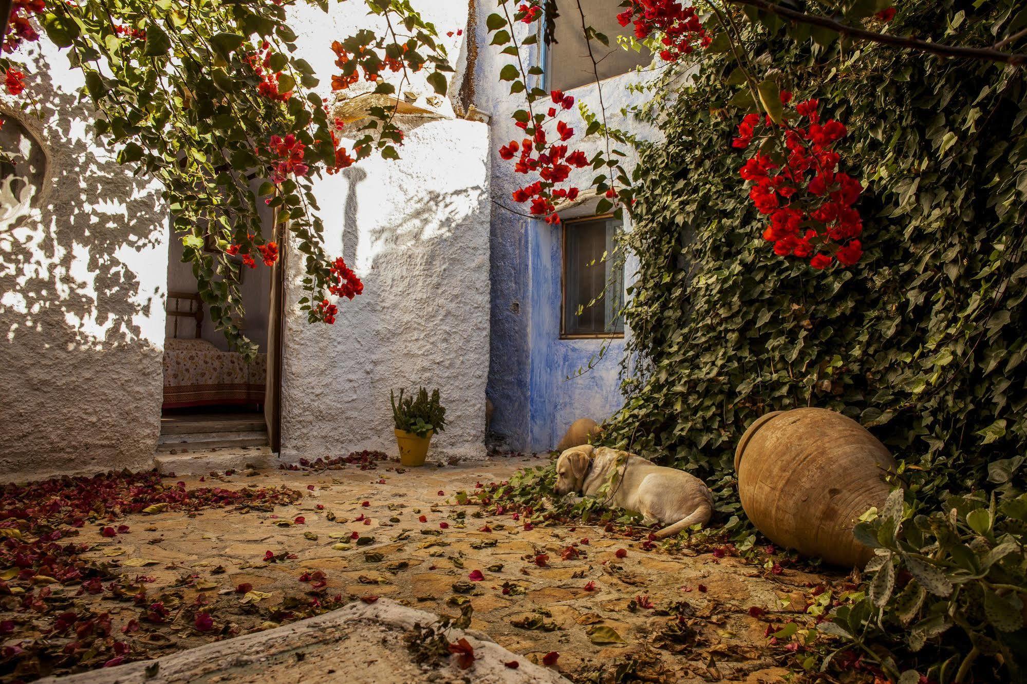 Casa Rural Aloe Vera Huercal-Overa Εξωτερικό φωτογραφία